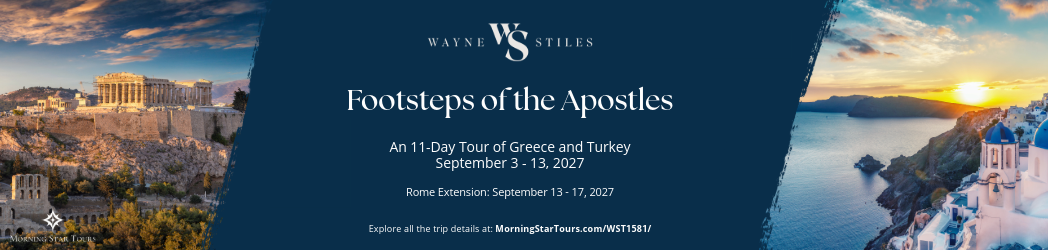 Web Banner WST1581